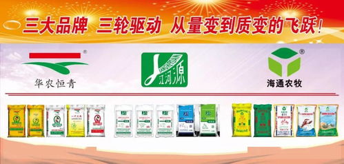 好產品用得放心，好服務讓我安心——招生輔助服務解析